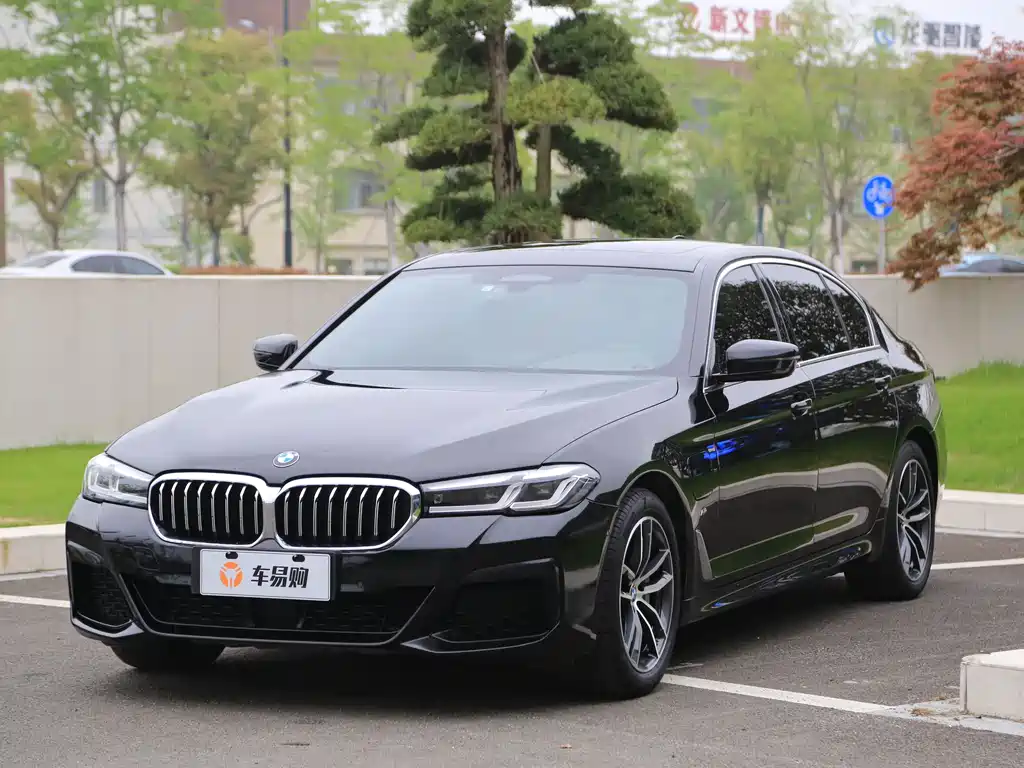 BMW 5 Series New Energy 2021
