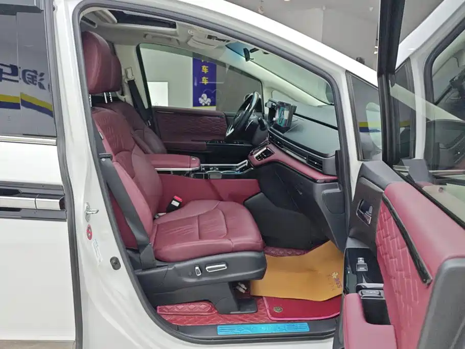 Honda Elysion — миниатюра 8