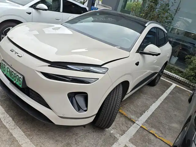 2025 BYD Sea Lion