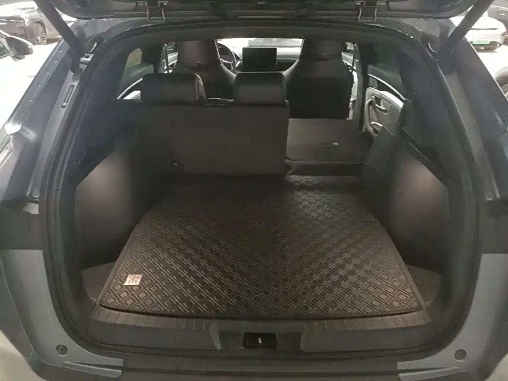 BYD PLUS New Energy — миниатюра 19