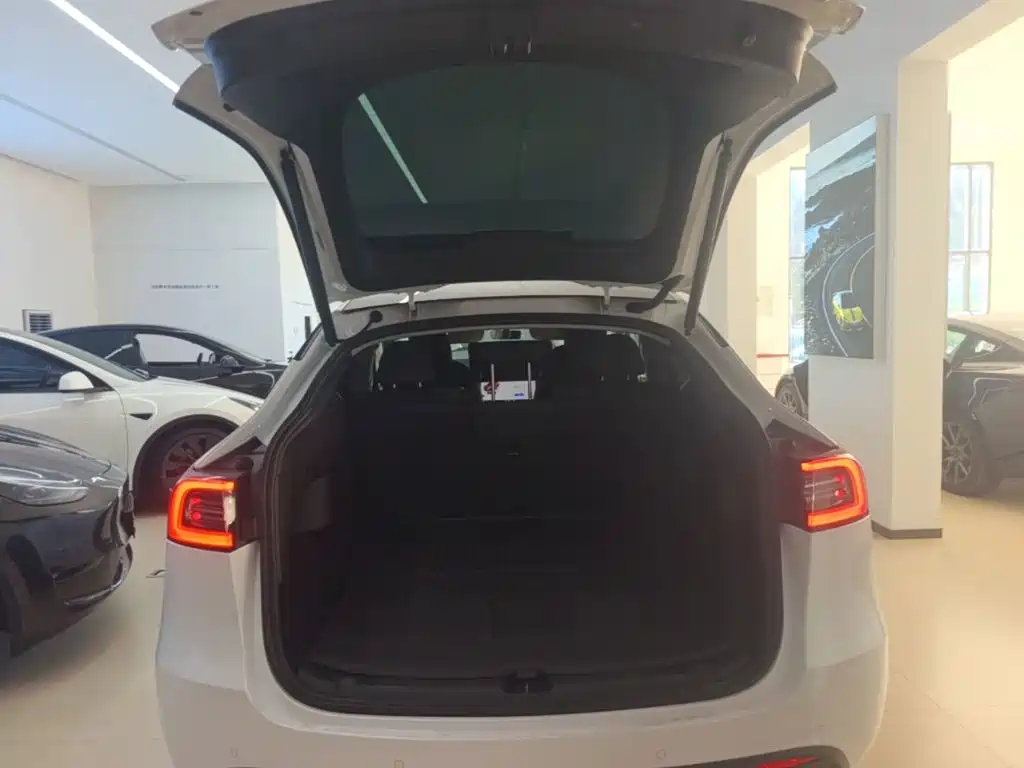 Tesla Model Y — миниатюра 19