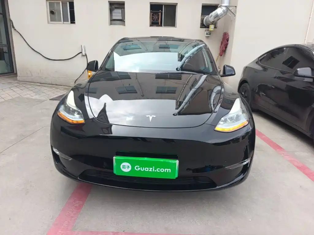 Tesla Model Y — миниатюра 3
