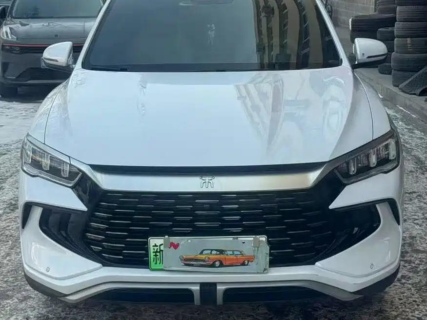 BYD SONGJIANG NEW ENERGY