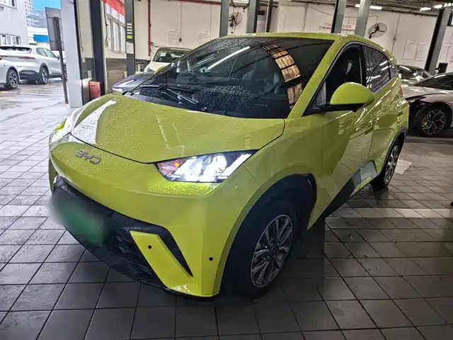 2024 BYD Seagull
