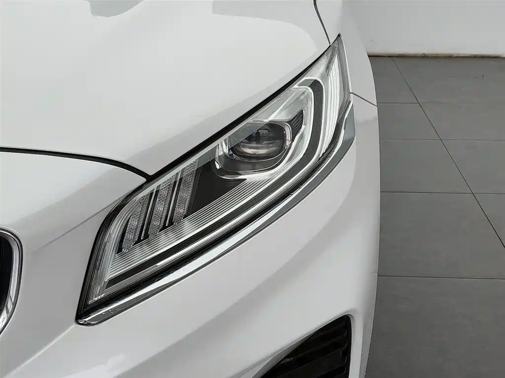 Geely Borui 2021 1.8T +