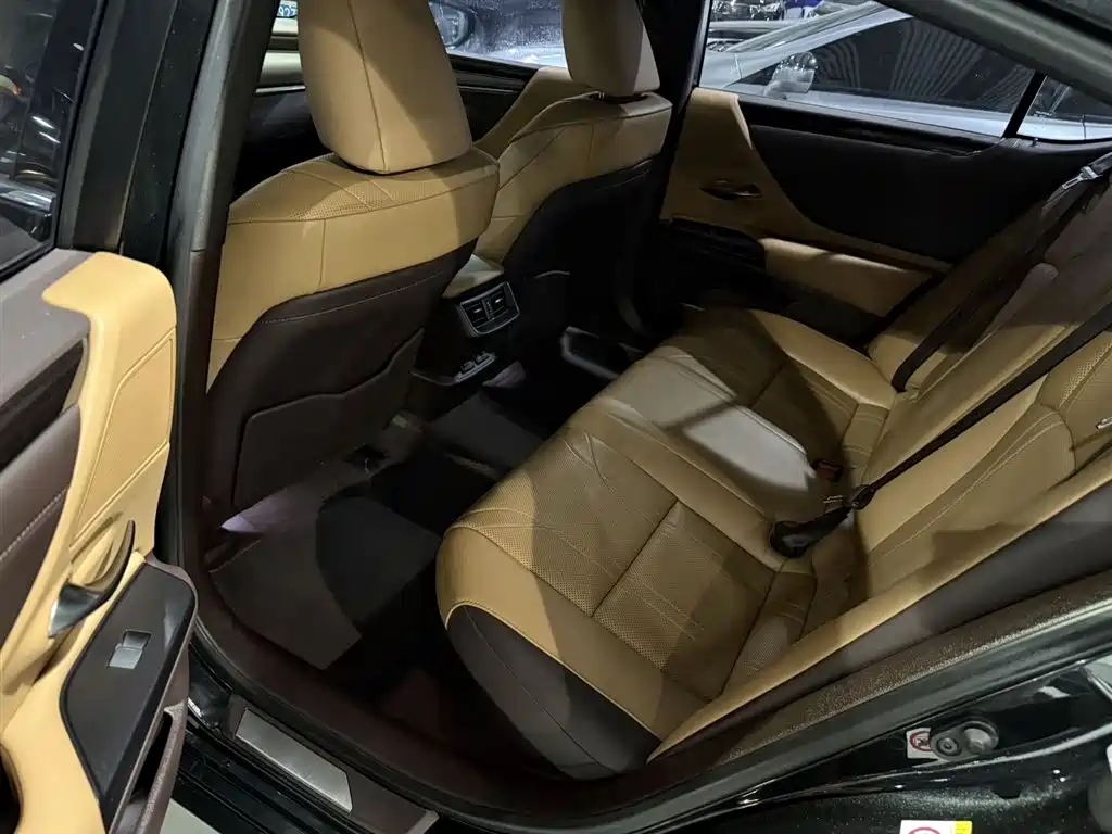 Lexus ES 2018 300h Premium V