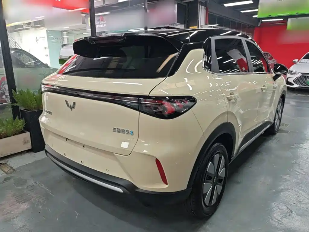 Wuling BinguoS S 2025 325km Premium