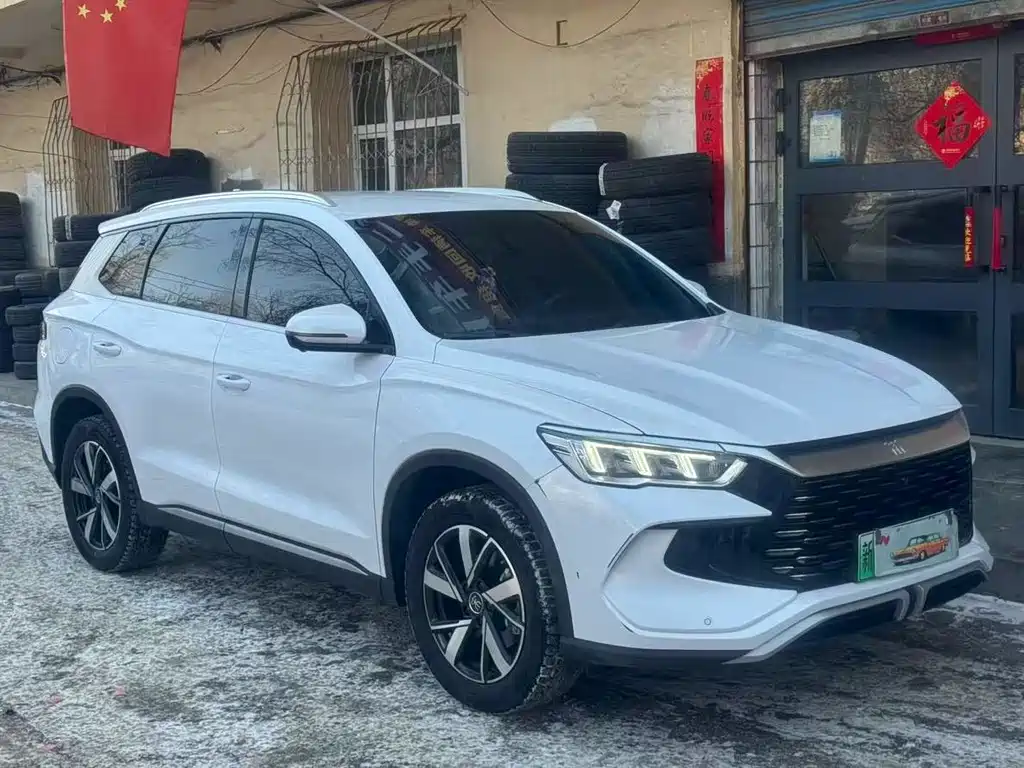 BYD SONGJIANG NEW ENERGY