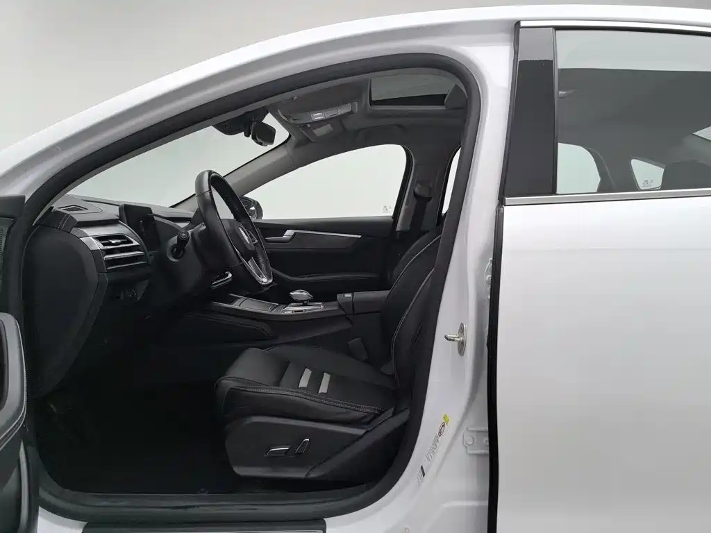 BYD Qin Pro NEV — миниатюра 10