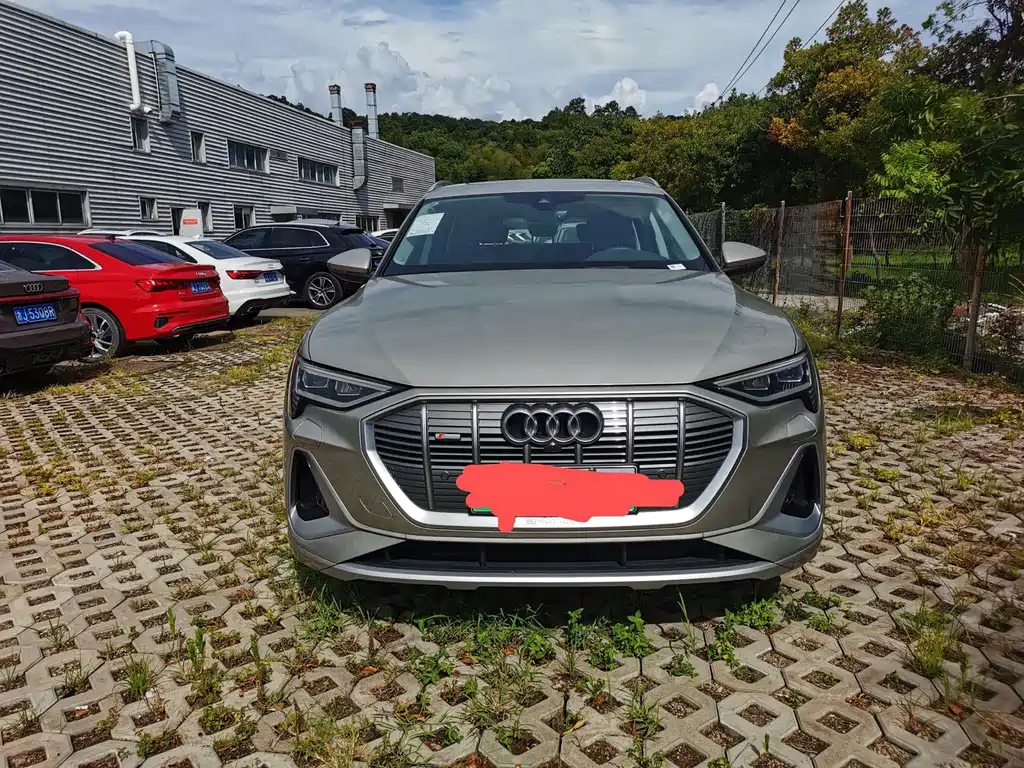 Audi e-tron — миниатюра 3