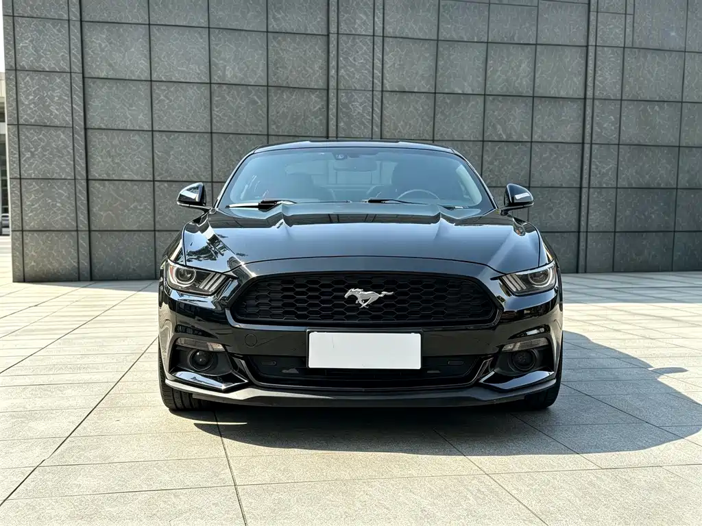 Ford Mustang — миниатюра 2