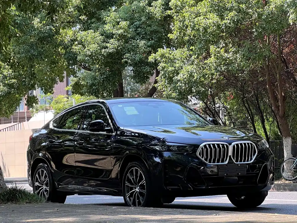 BMW X6 2023 xDrive30i M Sport