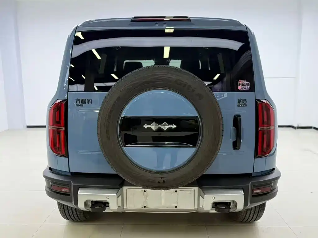 FANG CHENG BAO LEOPARD 5