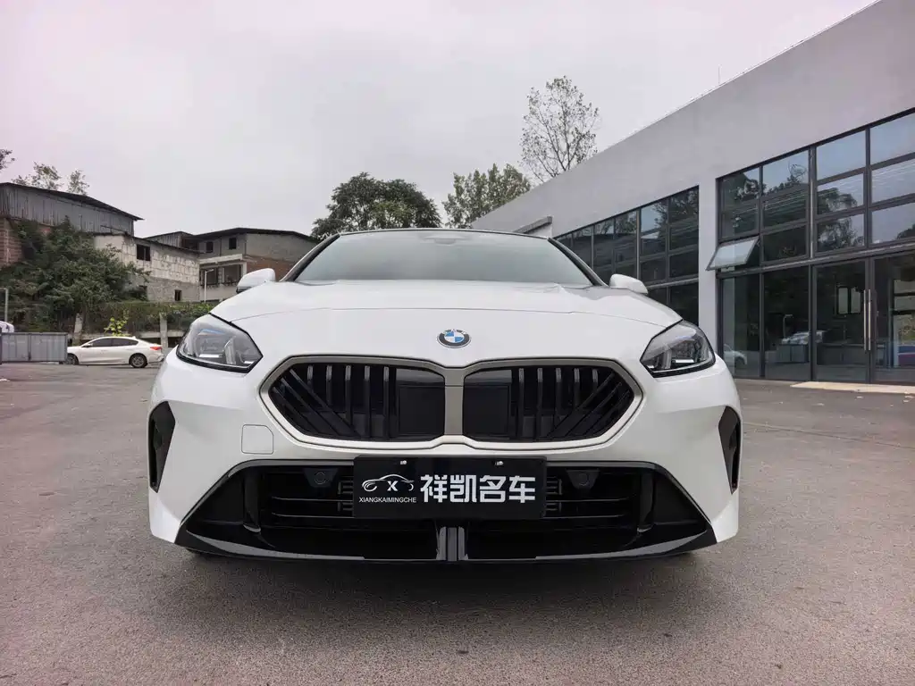 BMW 2 Series — миниатюра 3