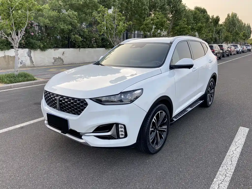 Wey Wey VV6 2020