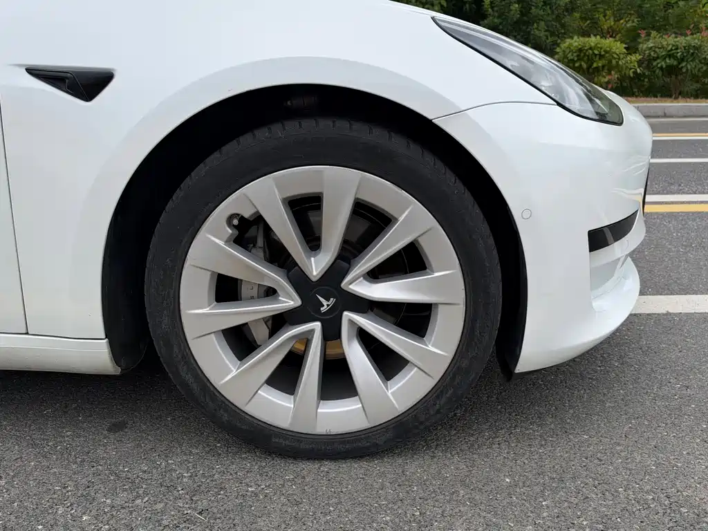 Tesla Model 3 — миниатюра 4
