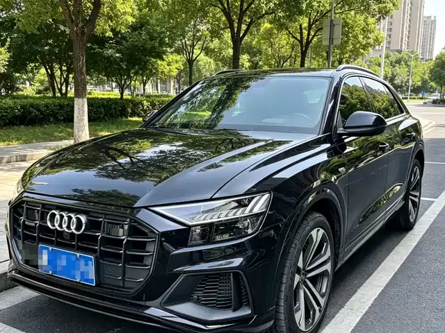 Audi Q 8 2021 55 TFSI — фото 1
