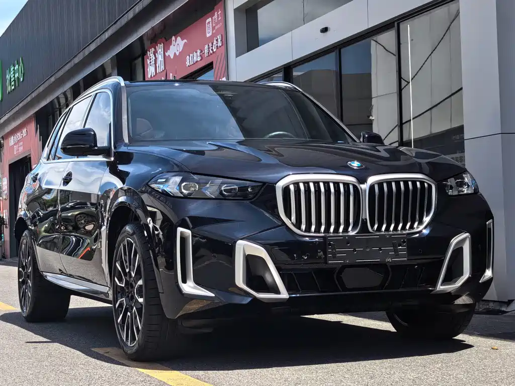 BMW X5 — миниатюра 3