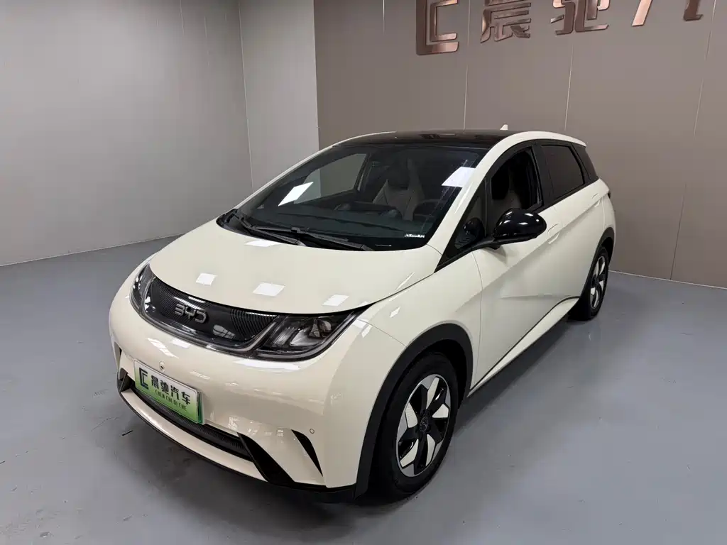 Byd Dolphin 2024