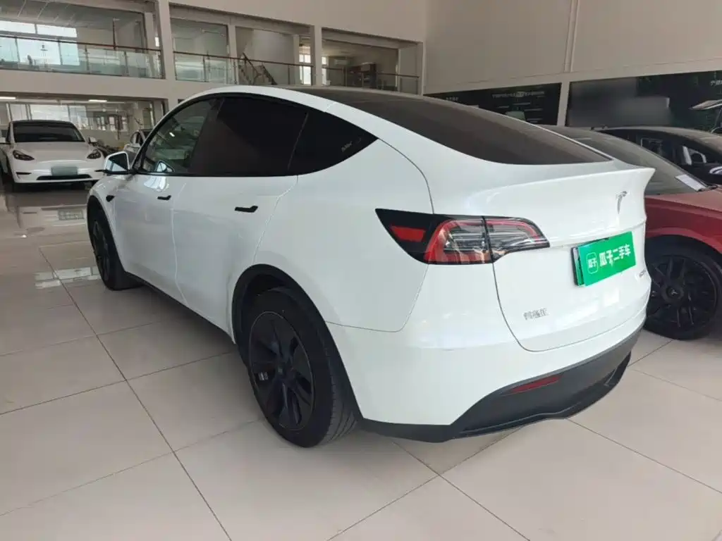 Tesla Model Y — миниатюра 5