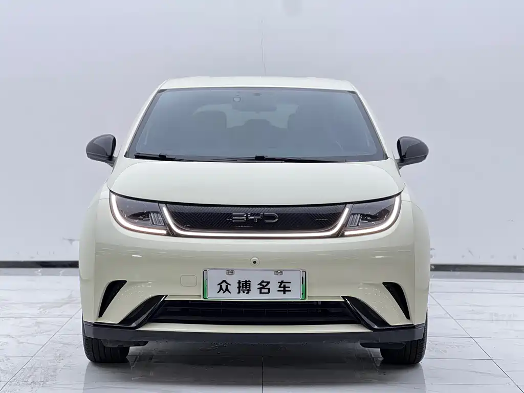 BYD Dolphin — миниатюра 2