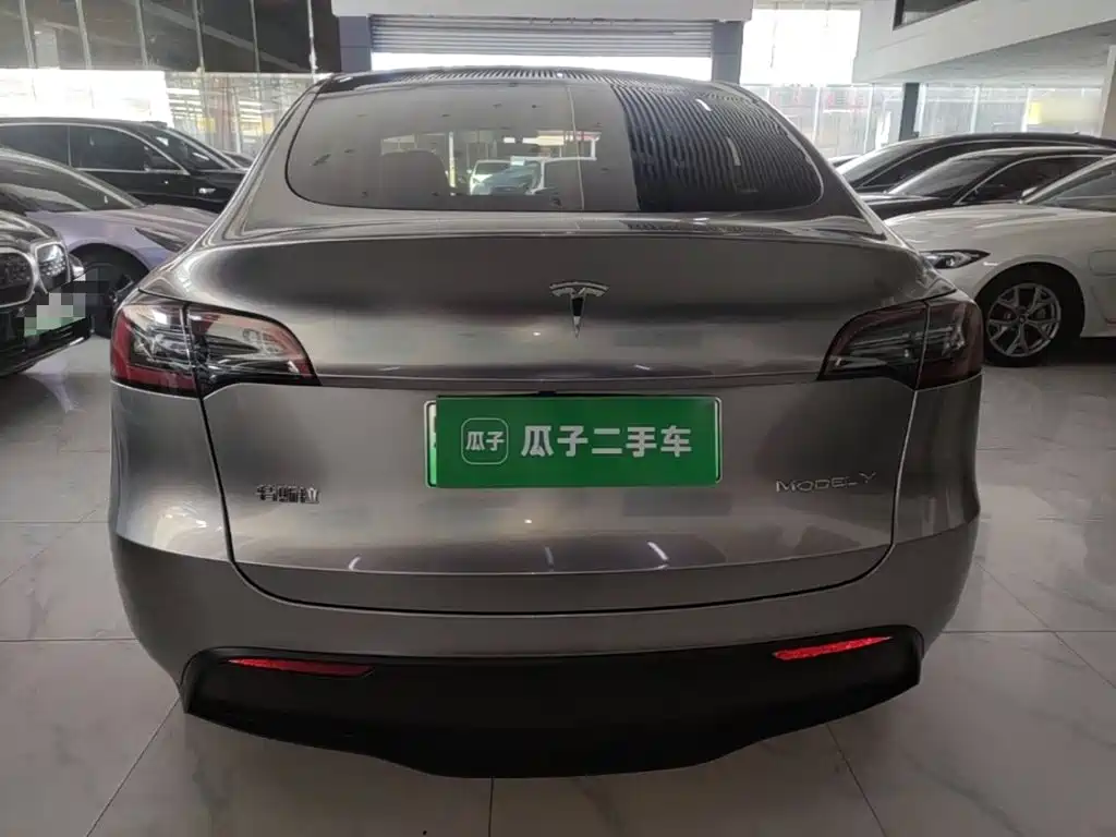 Tesla Model Y — миниатюра 6