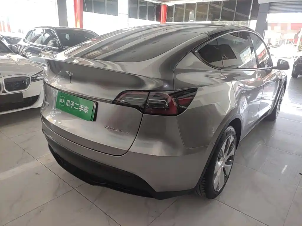 Tesla Model Y — миниатюра 7