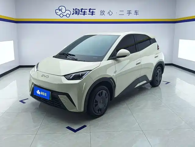 BYD Seagull