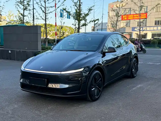 TESLA MODEL Y 2025