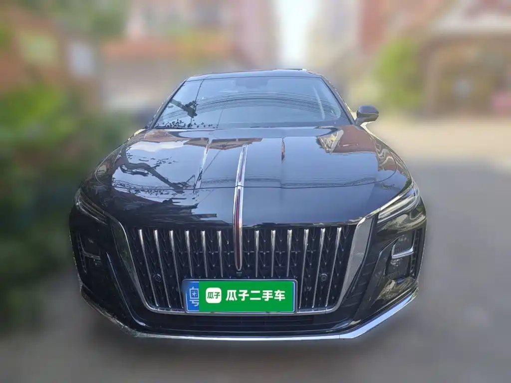 Hongqi Hongqi H5 — миниатюра 2