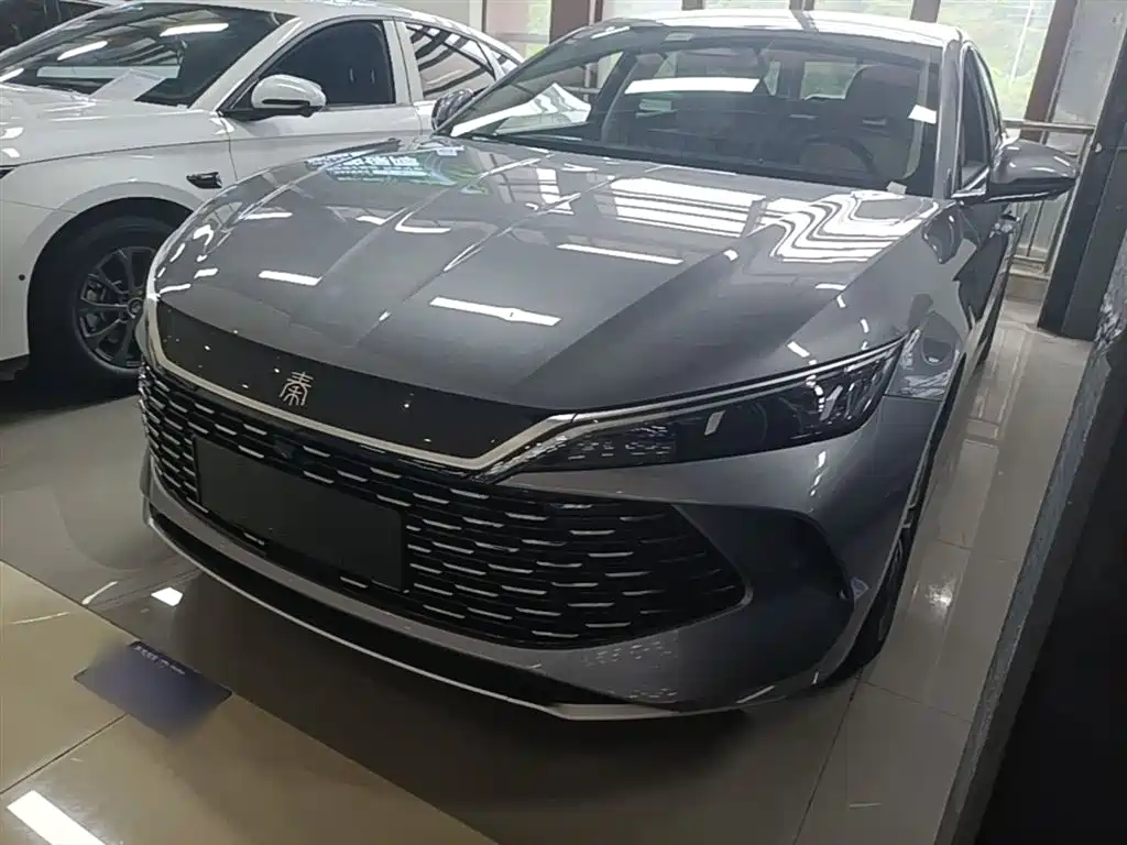 Byd Qin L 2024