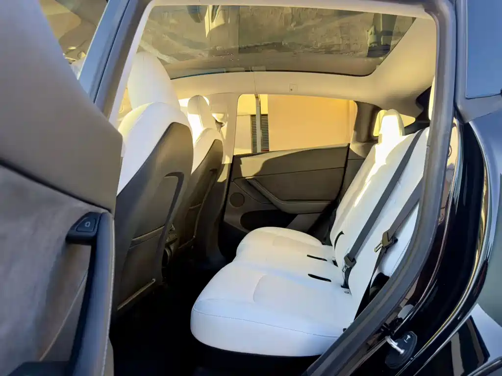 Tesla Model Y — миниатюра 5