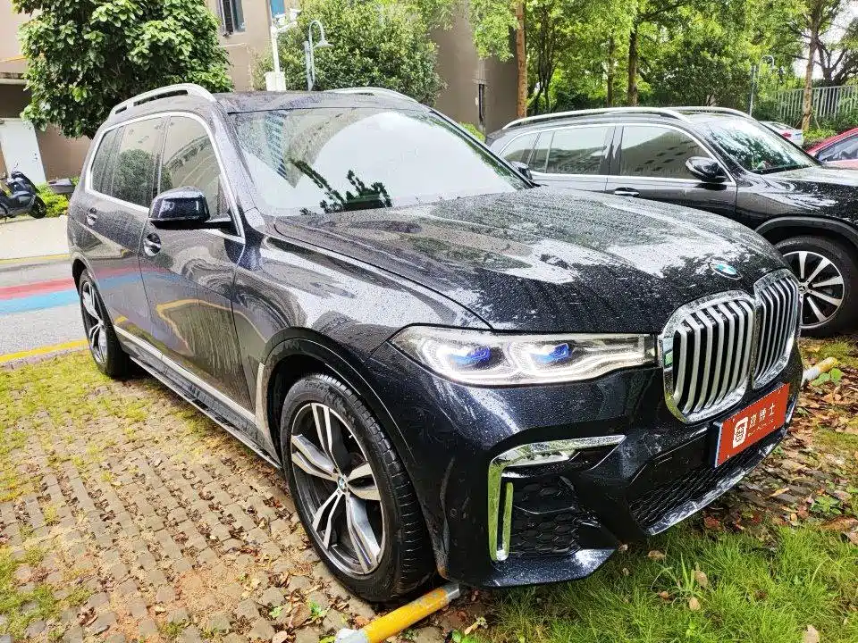 BMW X7 — миниатюра 2