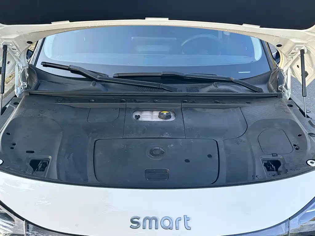 smart Smart #1 — миниатюра 8