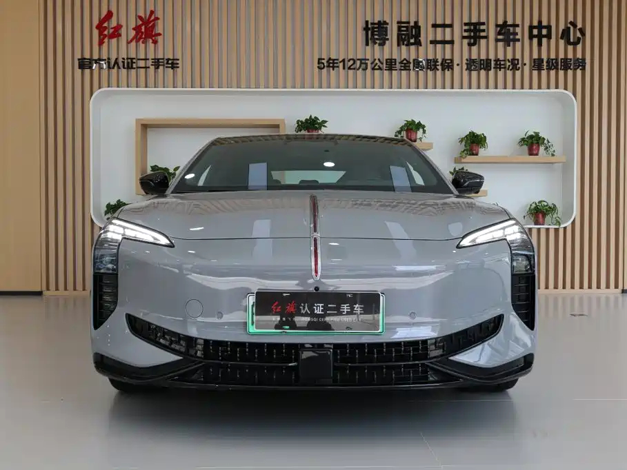 Hongqi Hongqi EH7 — миниатюра 4