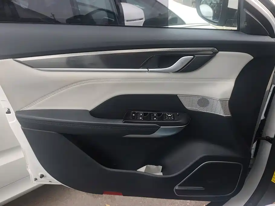 WM Motor EX5 — миниатюра 7