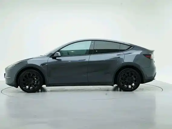 Tesla Model Y — миниатюра 5