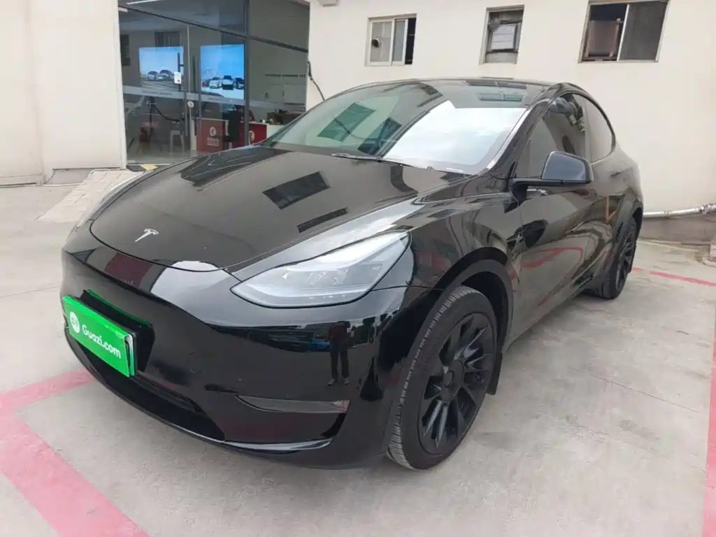 Tesla Model Y — миниатюра 2