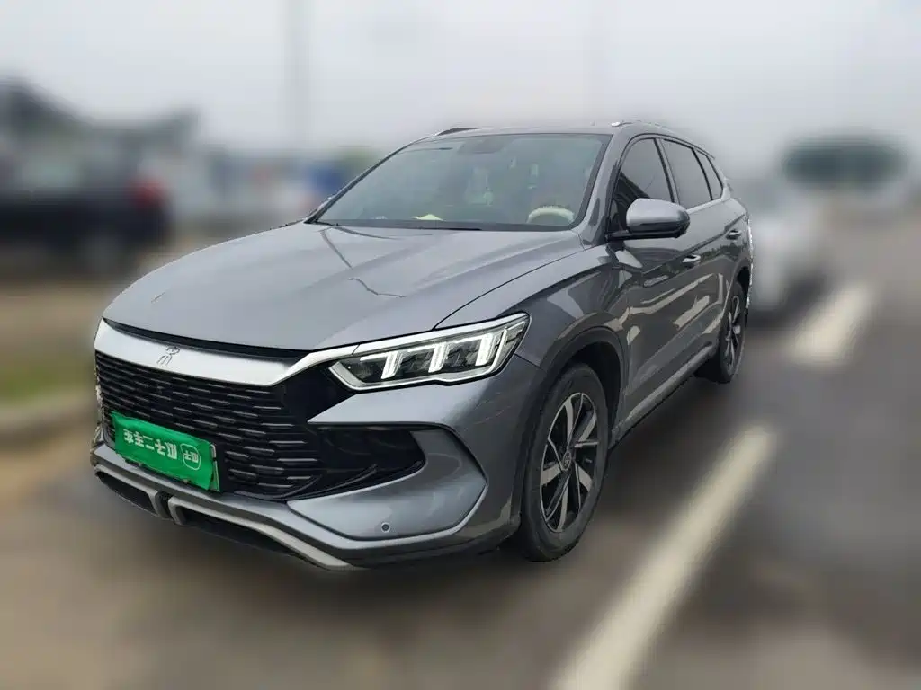 BYD Pro New Energy — миниатюра 2