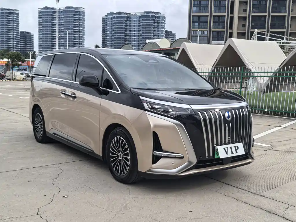 Denza Denza D9 — миниатюра 4