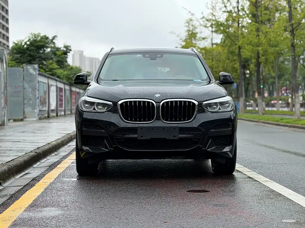 BMW X3 — миниатюра 2