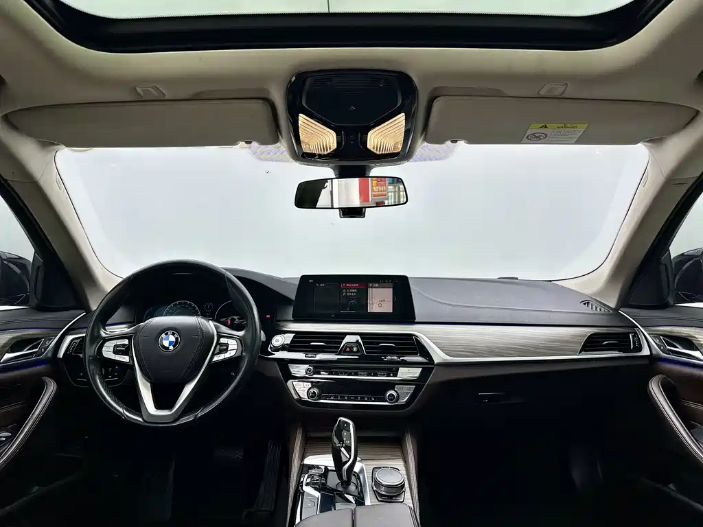 BMW 5 SERIES NEW ENERGY