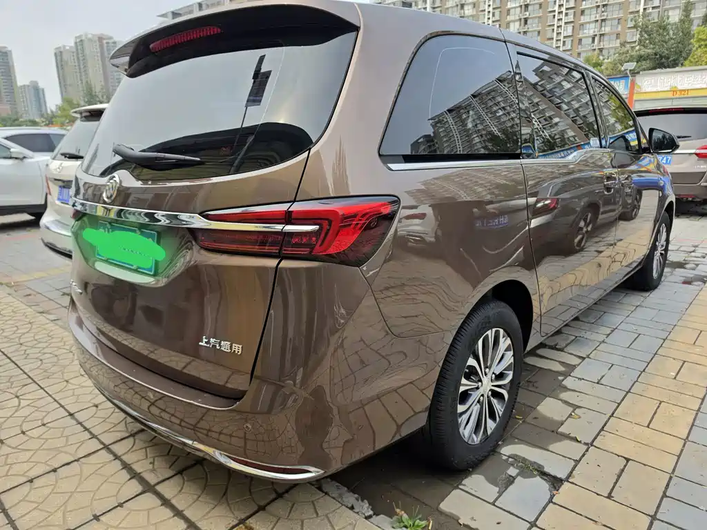 Buick GL8 — миниатюра 15