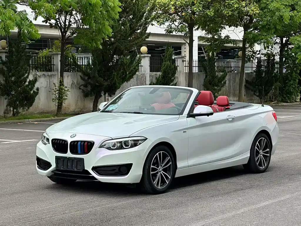 BMW 2 Series (Import) 2018