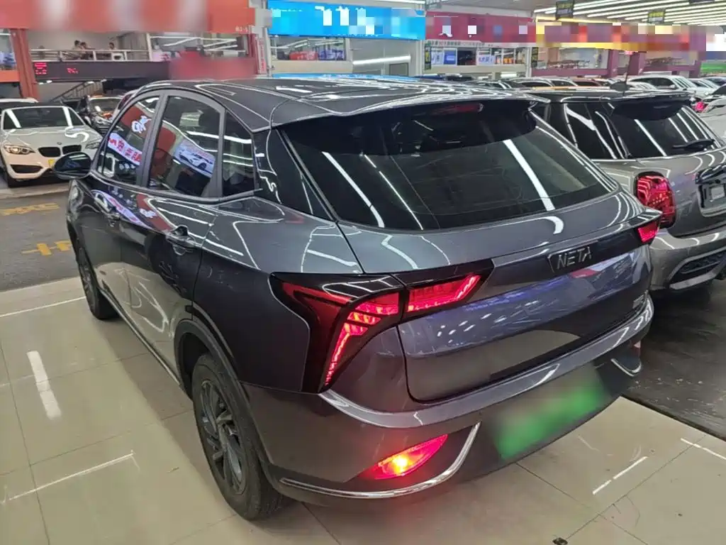 Neta Neta V — миниатюра 5