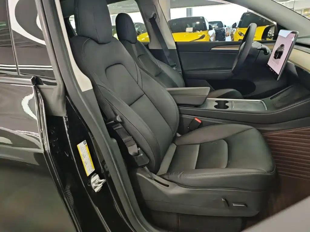 Tesla Model Y — миниатюра 25