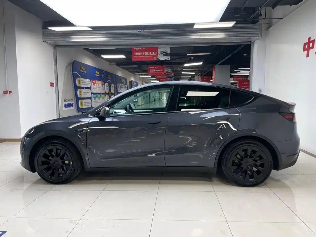 Tesla Model Y — миниатюра 4