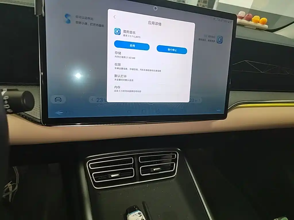 BYD Pro New Energy — миниатюра 13