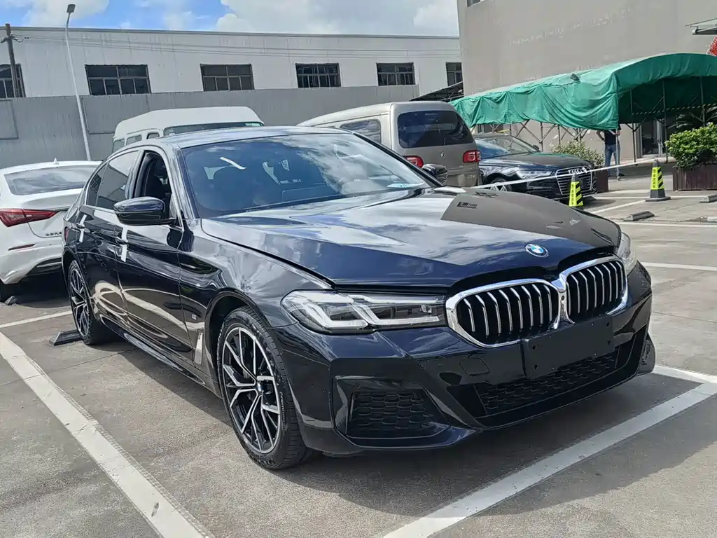 BMW 5 Series — миниатюра 3