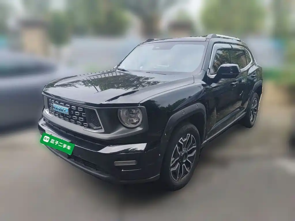 Haval Big Dog PLUS New Energy — миниатюра 2